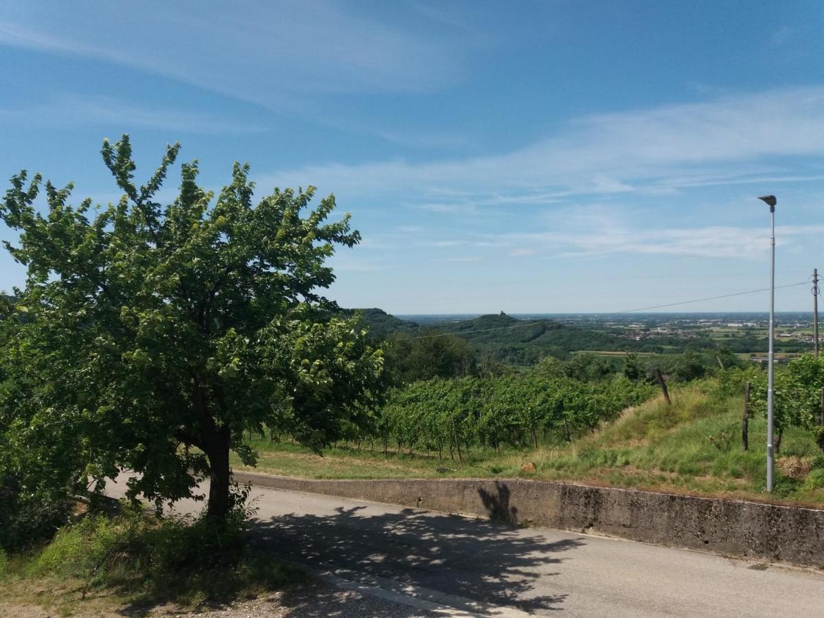 Agriturismo Casa Delle Rose Winery Ruttàrs المظهر الخارجي الصورة