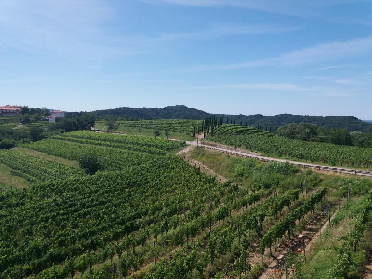 Agriturismo Casa Delle Rose Winery Ruttàrs المظهر الخارجي الصورة