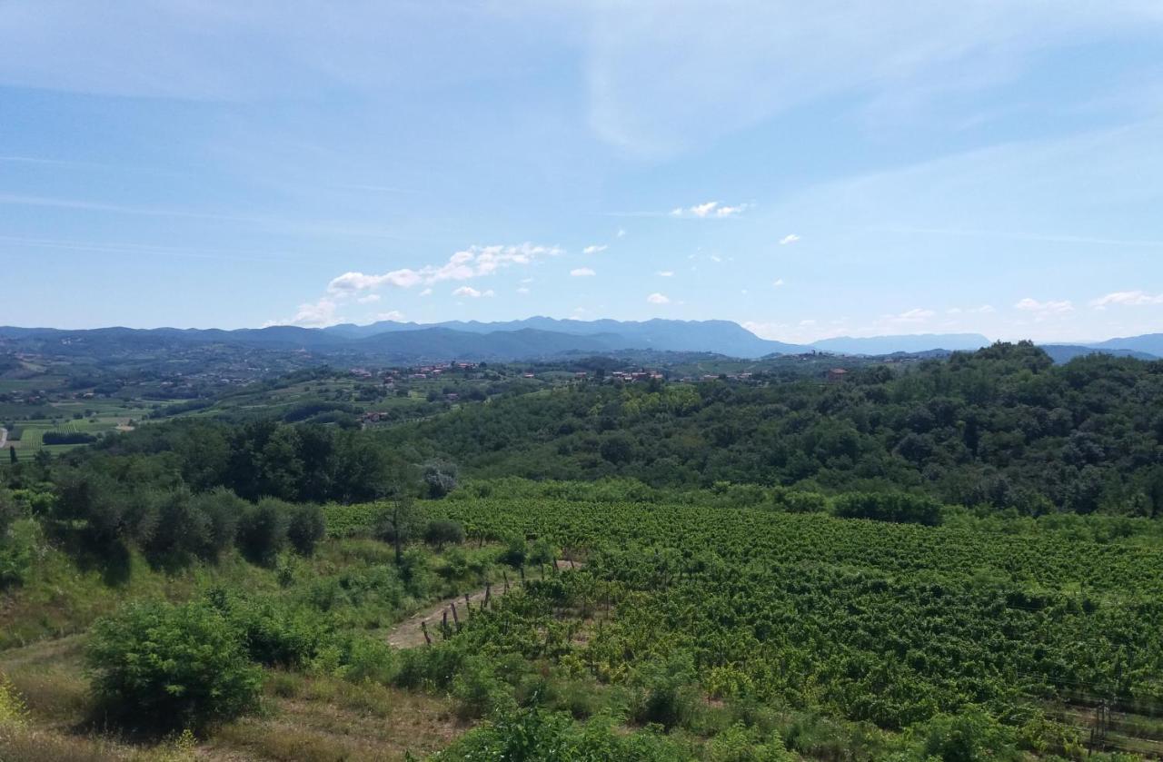 Agriturismo Casa Delle Rose Winery Ruttàrs المظهر الخارجي الصورة