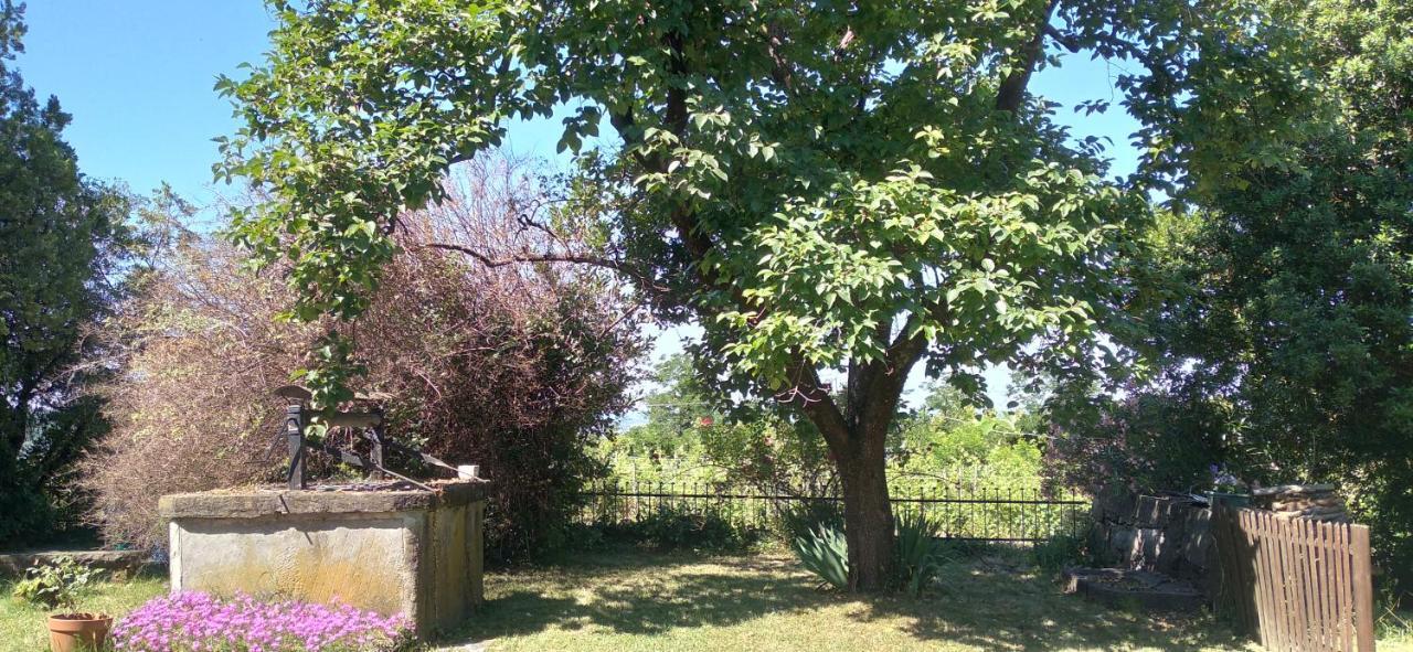 Agriturismo Casa Delle Rose Winery Ruttàrs المظهر الخارجي الصورة
