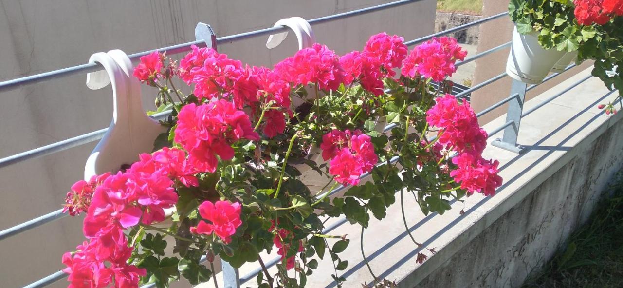 Agriturismo Casa Delle Rose Winery Ruttàrs المظهر الخارجي الصورة