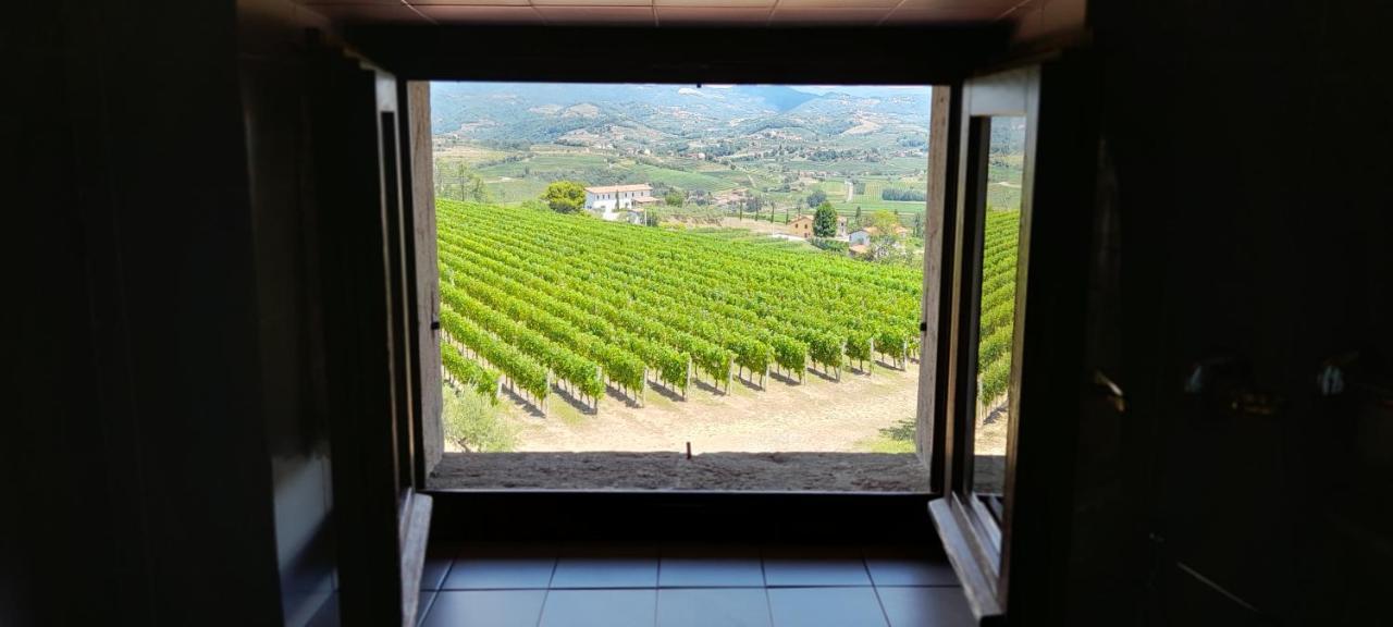 Agriturismo Casa Delle Rose Winery Ruttàrs المظهر الخارجي الصورة