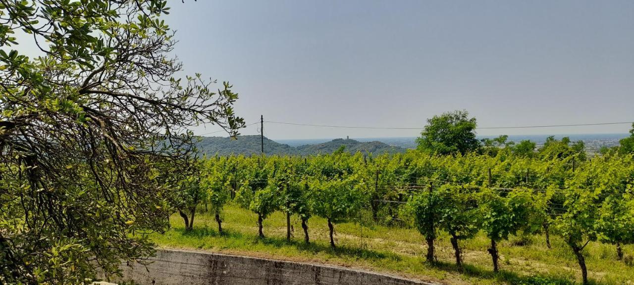 Agriturismo Casa Delle Rose Winery Ruttàrs المظهر الخارجي الصورة