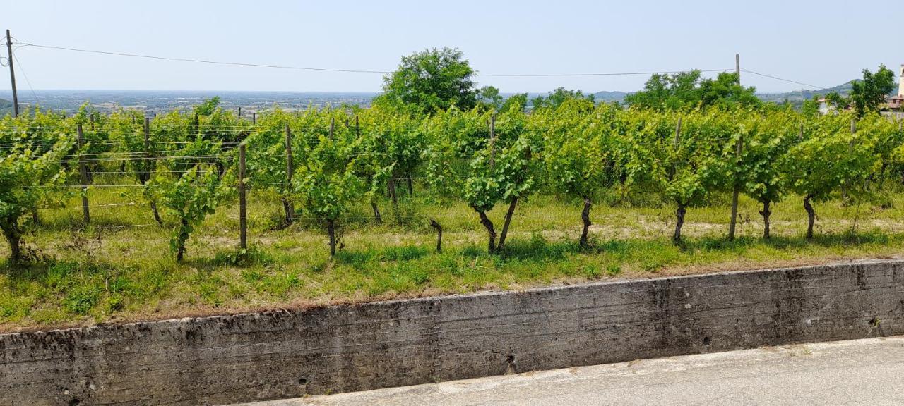 Agriturismo Casa Delle Rose Winery Ruttàrs المظهر الخارجي الصورة