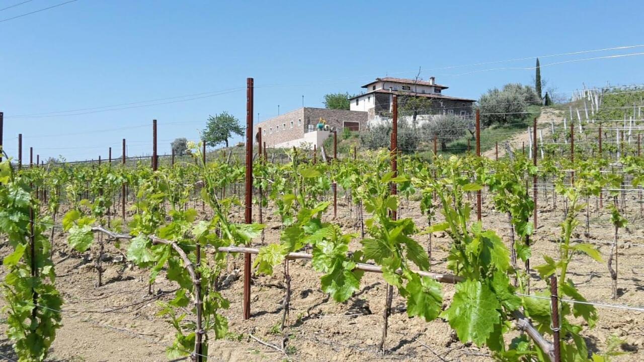 Agriturismo Casa Delle Rose Winery Ruttàrs المظهر الخارجي الصورة