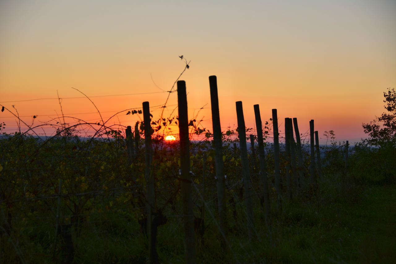 Agriturismo Casa Delle Rose Winery Ruttàrs المظهر الخارجي الصورة