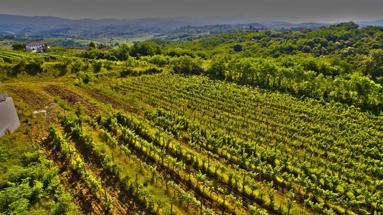 Agriturismo Casa Delle Rose Winery Ruttàrs المظهر الخارجي الصورة
