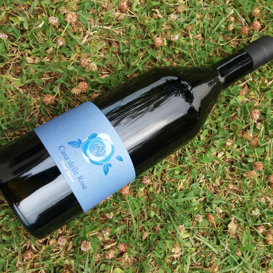 Agriturismo Casa Delle Rose Winery Ruttàrs المظهر الخارجي الصورة